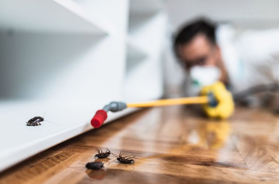 Top Signs Of Pest Trouble