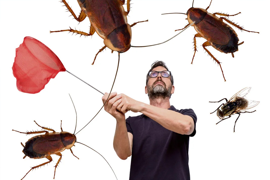 a humane blueprint for low impact household pest control