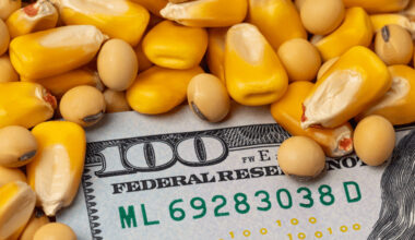 harvesting losses planting gains a practical playbook for after tax investing