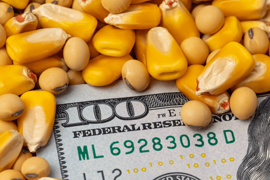 harvesting losses planting gains a practical playbook for after tax investing