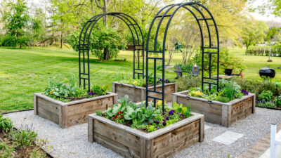 How to Create a Thriving Backyard Vegetable Garden