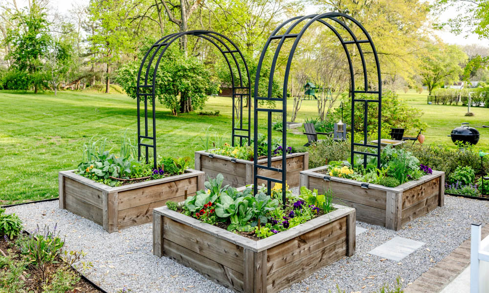 How to Create a Thriving Backyard Vegetable Garden