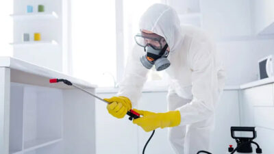 The Benefits of a Pest Control Subscription Plan 1