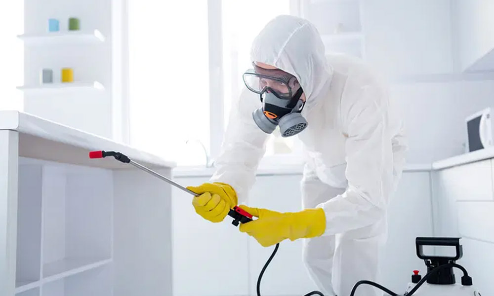 The Benefits of a Pest Control Subscription Plan 1