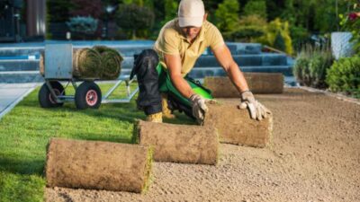 How to Create a Healthy Green Lawn That Lasts for Years
