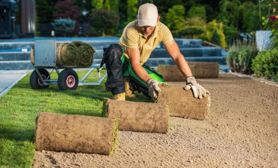 How to Create a Healthy Green Lawn That Lasts for Years