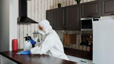 Simple Ways to Stop Household Pests From Moving In