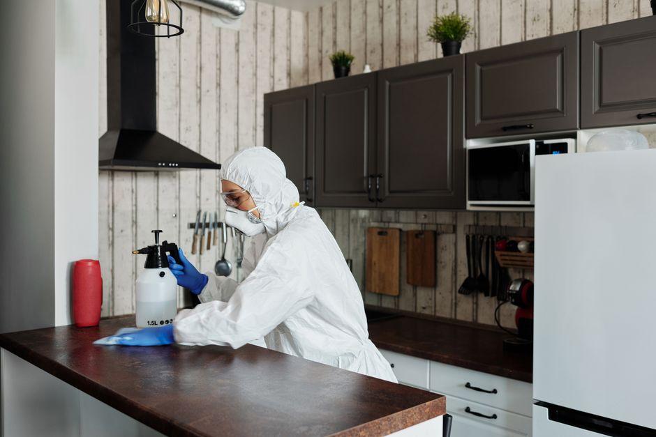 Simple Ways to Stop Household Pests From Moving In