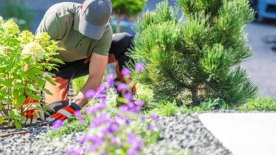 Ways to Improve the Look and Function of Your Garden Areas