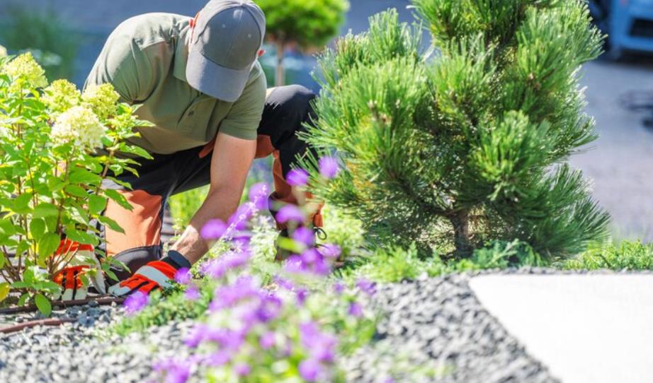 Ways to Improve the Look and Function of Your Garden Areas