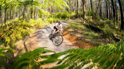 Mountain Bikes in Melbourne What to Consider for Local Trails and Adventures