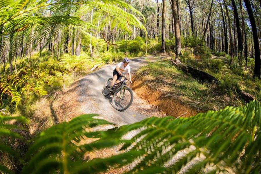 Mountain Bikes in Melbourne What to Consider for Local Trails and Adventures